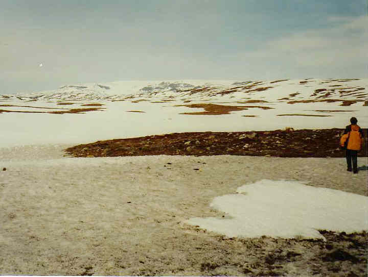 Der Hardangerjøkul in der Ferne, gesehen vom Pass des Rv7