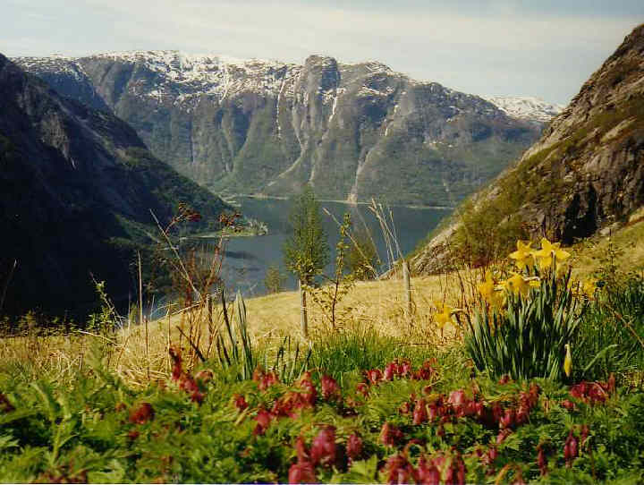 Blick von Kjæråsen in den Eidfjord