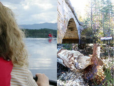 Day tours by canoe around Hovin i Telemark, Norway