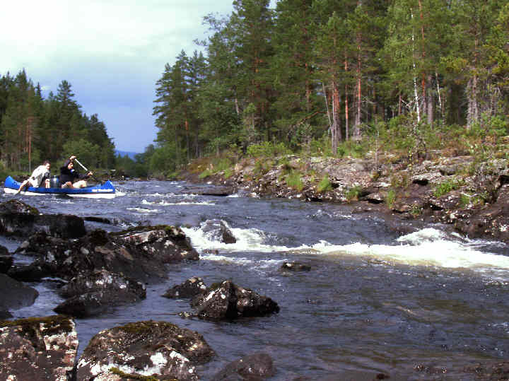 White water in the Holkåi river