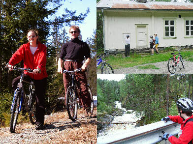 Dagsturer med sykkel i Hovin i Telemark