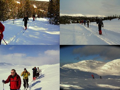 Dagsturer på ski i Hovin i Telemark