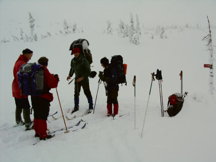 Durch lichte, verschneite Moorwälder zur Øvre Fjellstul