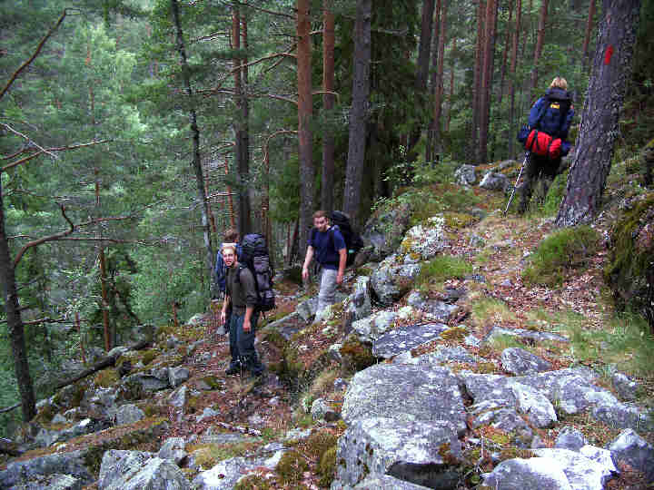 Auf dem Tinnsjøstig entlang der Rauaschlucht hinunter zum Tinnsjø auf 190 Höhenmeter